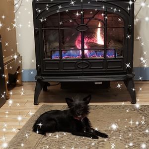 Meet your Posher, Tonya